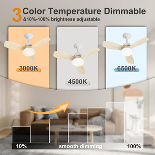 24.4 inch Wood Grain Ceiling Fan with Dimmable LED Light
