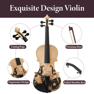 Professional 4/4 Full-Size Violin Set | Premium Sound, Handcrafted Finish & Complete Accessories