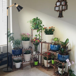 Full Spectrum Grow Lights for Indoor Plants - 20W COB Plant Light with 4/8/12H Timer - 75" Adjustable Height Standing Grow Lamp for Middle &amp; Large Plants - High-Velocity Indoor Growing Light