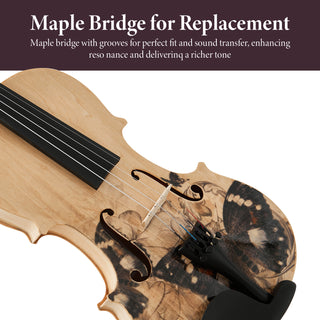 Professional 4/4 Full-Size Violin Set | Premium Sound, Handcrafted Finish & Complete Accessories