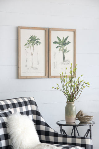 S/2 Tree Framed Print, 15.5x23.5'