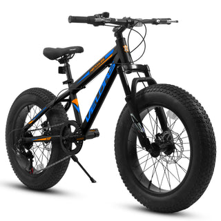 V20235 20" Fat Tire Mountain Bike for Adults, 7-Speed, Dual Disc Brakes, Front Suspension, Steel Frame