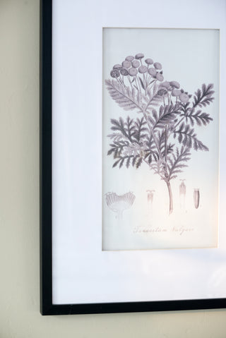 Set of 4 botanical wall art prints, view 16