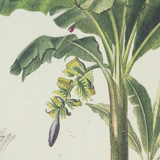 S/2 Tree Framed Print, 15.5x23.5'