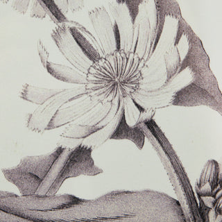 Set of 4 black and white botanical wall art prints framed under glass