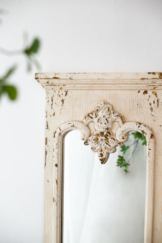 21.5' x 59' Full Length Mirror with Solid Wood Frame, Floor Mirror for Living Room Bedroom Entryway