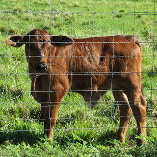 5x164 ft Advanced Weave Farm Enclosures Long-Lasting and Secure Galvanized Farm Fence