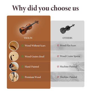 Professional 4/4 Full-Size Violin Set
