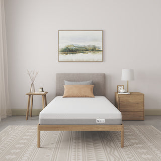 NapQueen 6 Inch Twin size Memory Foam, Medium Firm Mattress