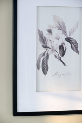 Set of 4 botanical wall art prints, view 15