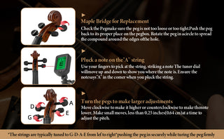 Professional 4/4 Full Size Violin Set | Stable Rich Sound & Complete Accessories