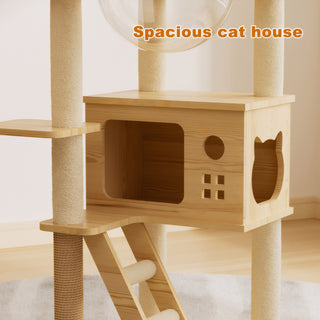 48.8" Modern Cat Tree Tower – Wooden Cat Condo with Acrylic Hammock, Sisal Scratching Posts & Perch for Indoor Cats