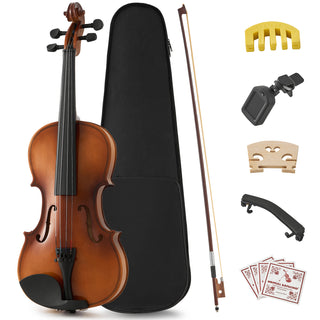 Professional 4/4 Full Size Violin Set | Stable Rich Sound & Complete Accessories