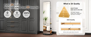 360° Rotating 69x16" Full Length Mirror with Hook & Coat Rack, Black