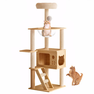 48.8" Modern Cat Tree Tower – Wooden Cat Condo with Acrylic Hammock, Sisal Scratching Posts & Perch for Indoor Cats