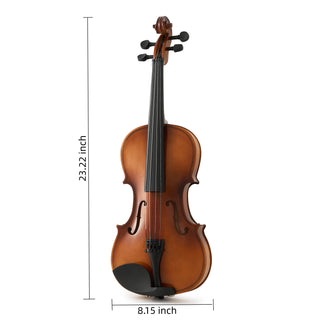 Professional 4/4 Full-Size Violin Set