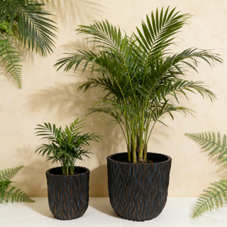Large Round Planters Set of 2 (15.75'x14.96' & 12.2' x13.39'') - Lightweight Magnesium Oxide Plant Pot with Texture -Concrete Planter Pots with Drainage Hole – Indoor & Outdoor Use