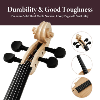 Professional 4/4 Full-Size Violin Set | Premium Sound, Handcrafted Finish & Complete Accessories