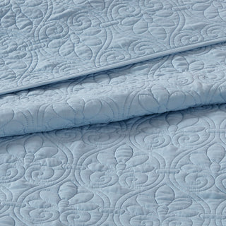 23759710