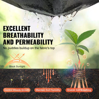23747874