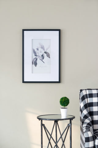 Set of 4 botanical wall art prints, view 10