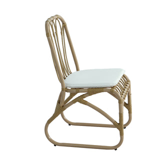 Outdoor PE Wicker Dining Chairs with Washable Cushion Set of 2, Outdoor Rattan chairs for Backyard, Poolside, Garden,Patio,Natural