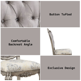 Ariadne Velvet & Antique Platinum Finish Side Chair (Set of 2)