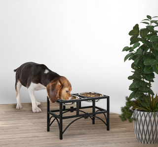 Double Stainless Steel Heavy Duty Dog Food Bowl Elevated Pet Feeding Station