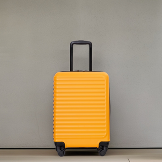 Lightweight 20' Carry On Luggage, Spinner Wheels, Orange, ABS, Compact Size