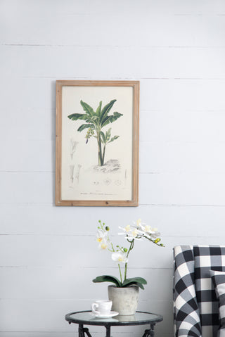 S/2 Tree Framed Print, 15.5x23.5'