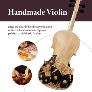 Professional 4/4 Full-Size Violin Set | Premium Sound, Handcrafted Finish & Complete Accessories