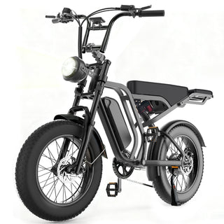 20' Fat Tire Electric Bike for Adults, 1500W Peak Motor Ebike, All-Terrain Electric Dirt E Bike, 7 Speed Full Suspension  4.0' Fat Tire  48V 15Ah Removable Battery(UL 2849 Certified)