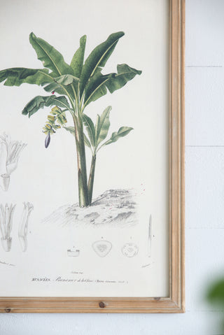 S/2 Tree Framed Print, 15.5x23.5'