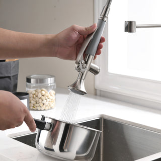 Heavy-Duty Commercial Kitchen Faucet | High-Arc Pre-Rinse Spring Sprayer in Brushed Nickel