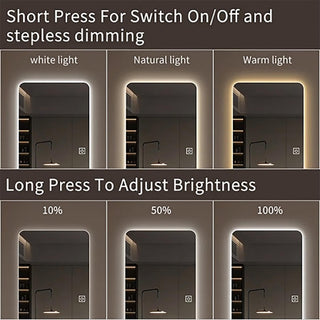 Wall Mounted Full Body Mirror with Dimming Lights in Silver Glass 65x21in