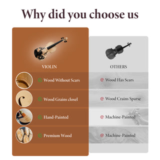 Professional 4/4 Full-Size Violin Set | Premium Sound, Handcrafted Finish & Complete Accessories