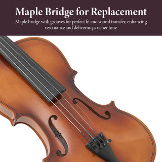 Professional 4/4 Full Size Violin Set | Stable Rich Sound & Complete Accessories