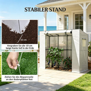 Outdoor Small Greenhouse with Roll-up Door,Portable Greenhouse,Walk-in Greenhouse