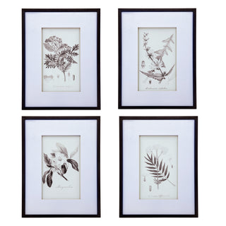 Set of 4 botanical wall art prints, view 4