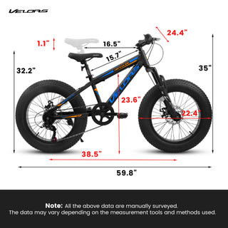 V20235 20" Fat Tire Mountain Bike for Adults, 7-Speed, Dual Disc Brakes, Front Suspension, Steel Frame