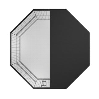 24289005
