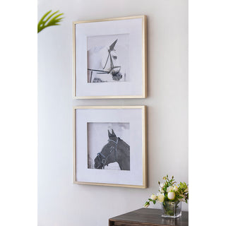 Set of 2 Wall Art Horse Animal Printing, Wall Decor Accent, 22' x 22'