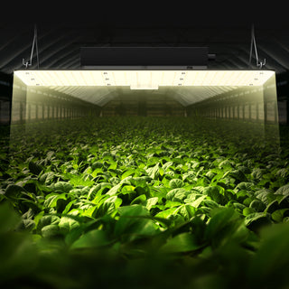 200W LED grow light, view 2