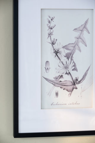 Set of 4 botanical wall art prints, view 17