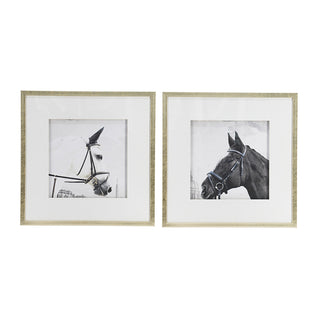 Set of 2 Wall Art Horse Animal Printing, Wall Decor Accent, 22' x 22'