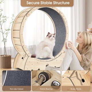 37" Cat Exercise Wheel for Indoor Cats | Natural Wood Running Wheel with Carpeted Runway