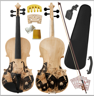 Professional 4/4 Full-Size Violin Set | Premium Sound, Handcrafted Finish & Complete Accessories
