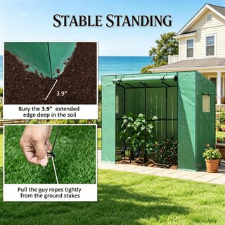 Small Greenhouse,Outdoor Small Greenhouse with Roll-up Door,Portable Greenhouse,Walk-in Greenhouse