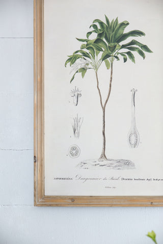 S/2 Tree Framed Print, 15.5x23.5'