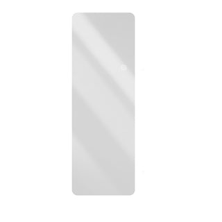 Wall Mounted Full Body Mirror with Dimming Lights in Silver Glass 65x21in